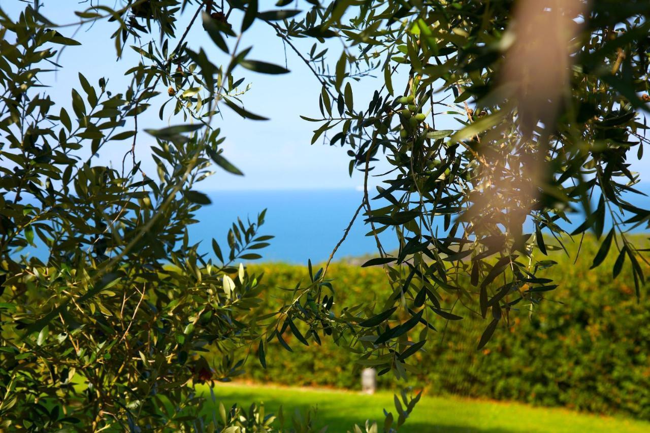 Casale Del Mare Villa Castiglioncello Luaran gambar