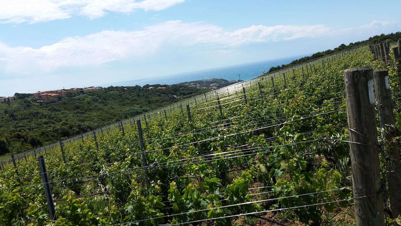 Casale Del Mare Villa Castiglioncello Luaran gambar